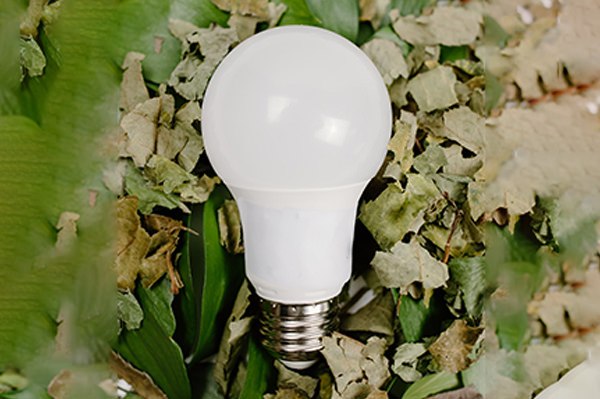 Consciencia acción Psicólogo Mérida